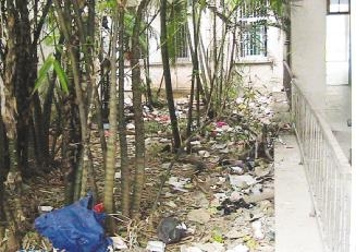 海南省人民醫(yī)院內(nèi)科樓環(huán)境衛(wèi)生惡劣