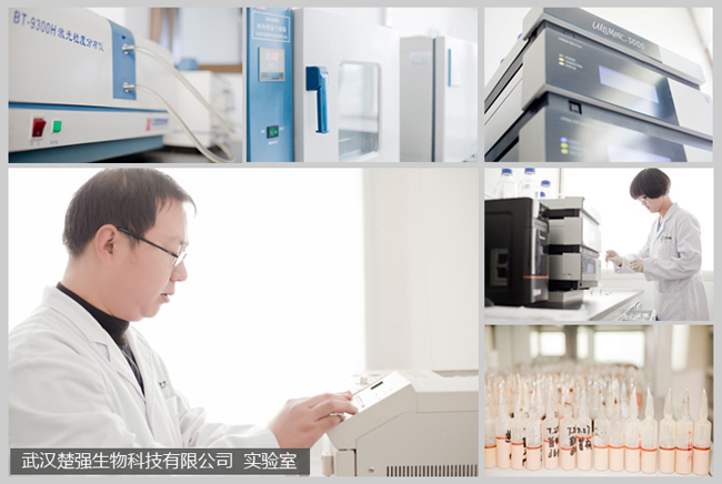 楚強(qiáng)生物實(shí)驗室