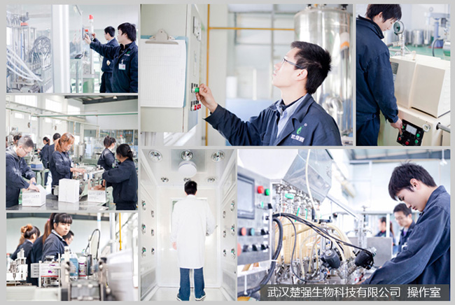楚強(qiáng)生物操作室