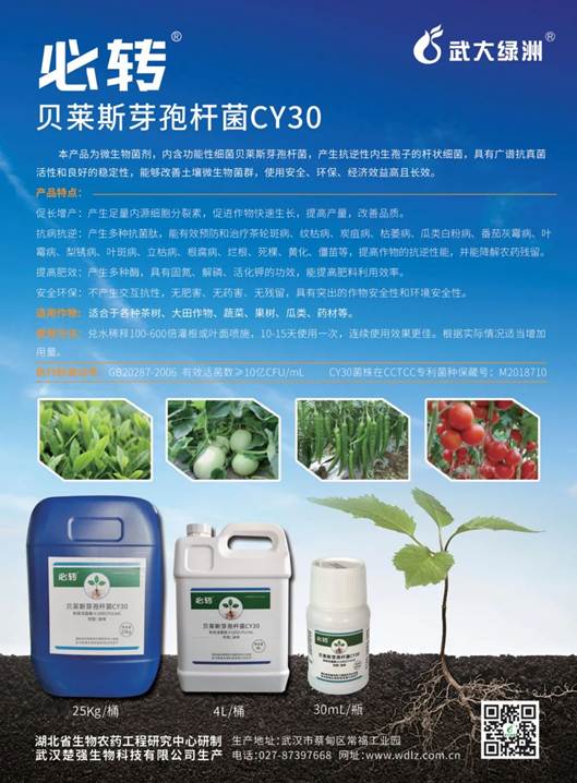 武大綠洲受邀參加九間棚集團“六不用”農(nóng)業(yè)生態(tài)種植技術(shù)培訓(xùn)會